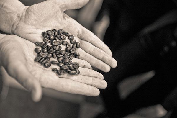 Produse cafea